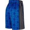Nike Шорты для баскетбола Hardwood Classics Performance Swingman Сезон 2023/24, Orlando Magic Мужские Королевский синий DX8725-480