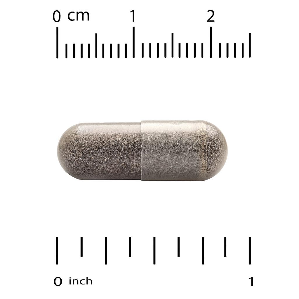 Organic Chaga Mushroom + Ginger, 60 Veggie Capsules