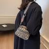 New Classic Fashion Women's Bag Leopard Print Versatile Messenger Bag Commuter Women's Bag Shoulder Bag Diagonal Span Bag Tide