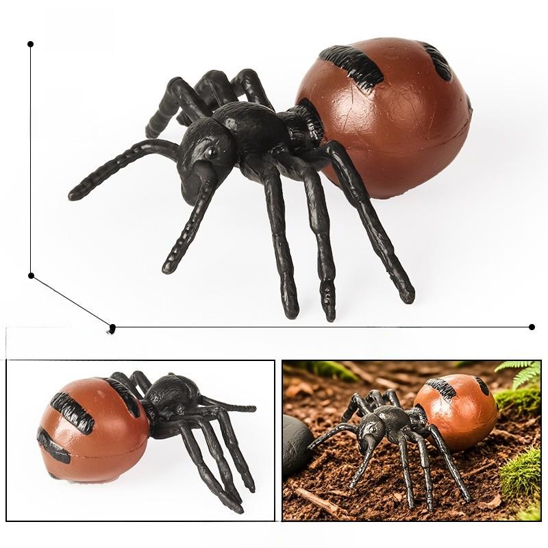Насекомое Животное Образовательный Набор Моделей Пластиковые Фигурки Детское Обучение Школьное Домашнее