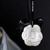 Fragrance Aromatherapy Car pendant Wardrobe Deodorizer Rearview Mirror Ornament Plaster Wax Tablet