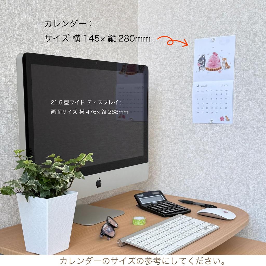 Active Corporation 2026 Настенный календарь Мурата Сиба-ину и Начало в январе 2026 года, Закуски Нацуки, 26ACL-78,