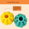 1PCS Pet Dog Dog Toy Educational Leak Food Ball Bite-resistant Golden Retriever Teddy Rubber Ball Puppy Molar Elastic Watermelon Ball