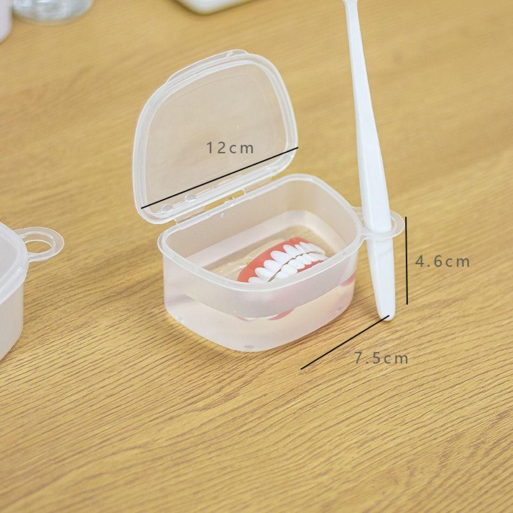Container Artificial Tooth Boxes Transparent Cleaning Teeth Cases False Teeth Storage Box