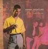 Пластинка 7 дюймов ANIMAL NIGHTLIFE Mr Solitaire IS193 ISLAND RECORDS 1984 UK SoulFunk Б/у