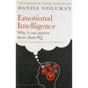 Emotional Intelligence Why It Can Matter More Than IQ Paperback