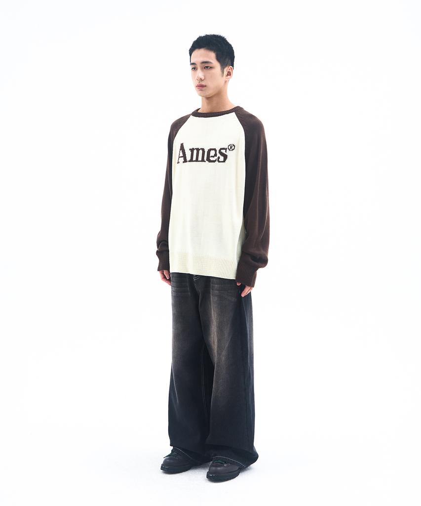 AMES-WORLDWIDE Basic Raglan Pullover Knit Brown