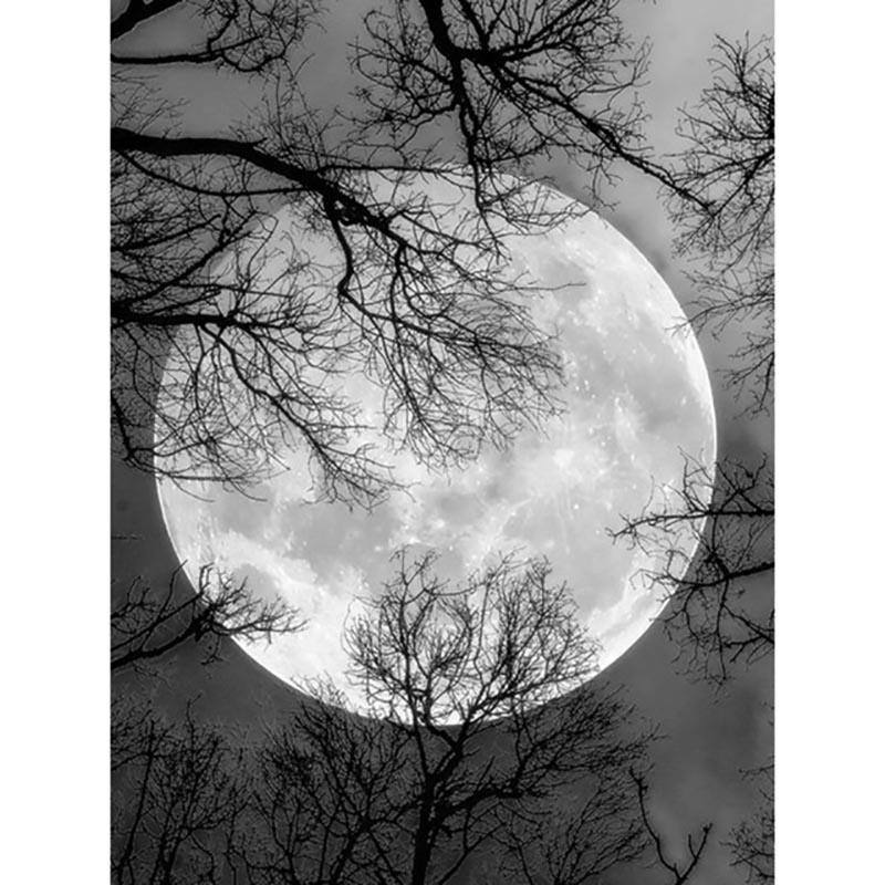 DIY Лунный пейзаж 5D алмазная живопись полный круглый дрель пейзаж Алмазная вышивка наборы крестиков мозаика настенное искусство домашний декор