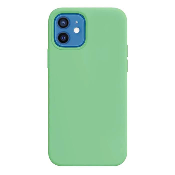 Case for iPhone 13 Pro Max (6.7 ") Green Silicone Mat