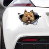 Cairn Terrier Car Stickers, Weather-Resistant Vinyl Stickers for Windows, Bumper Crafts - PVC Material Vehicle Decals
