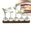 Plants Terrarium for Hydroponics Plants Office Plant Propagation Station with Retro Wooden Stand Home Desktop Glass Planter