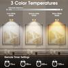 1/2PCS Wall Picture Light, Remote Control LED Painting Light, Three Color Temperature Adjustable and Timer Painting Light