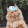 Ковбойская шляпа для домашних животных для маленьких собак и кошек, кепка для косплея, пляжная шляпа с козырьком, костюм щенка, аксессуары для уличной вечеринки, реквизит для фотосессии