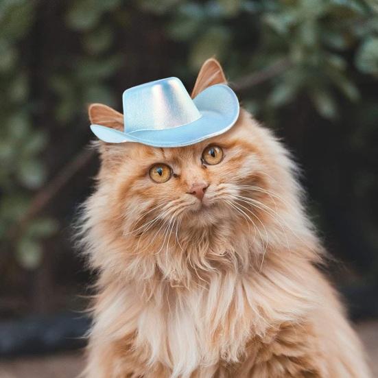 Ковбойская шляпа для домашних животных для маленьких собак и кошек, кепка для косплея, пляжная шляпа с козырьком, костюм щенка, аксессуары для уличной вечеринки, реквизит для фотосессии