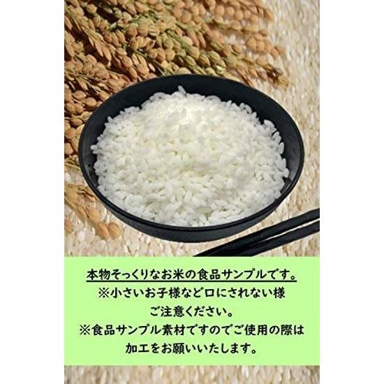 Food sample materials made Japan rice natural white standard 200g toy Shop Yamato Spirit.