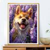5d DIY Алмазная картина, вышивка крестом, милые животные, корги, алмазная вышивка, мозаика, лаванда, полный круглый дрель, домашний декор