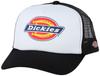 Кепка Dickies