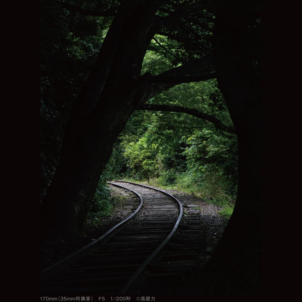 Panasonic Telephoto Zoom Lens for Micro Four Thirds Lumix LEICA DG VARIO-ELMARIT 35-100mm/F2.8 /POWER O.I.S H-ES35100