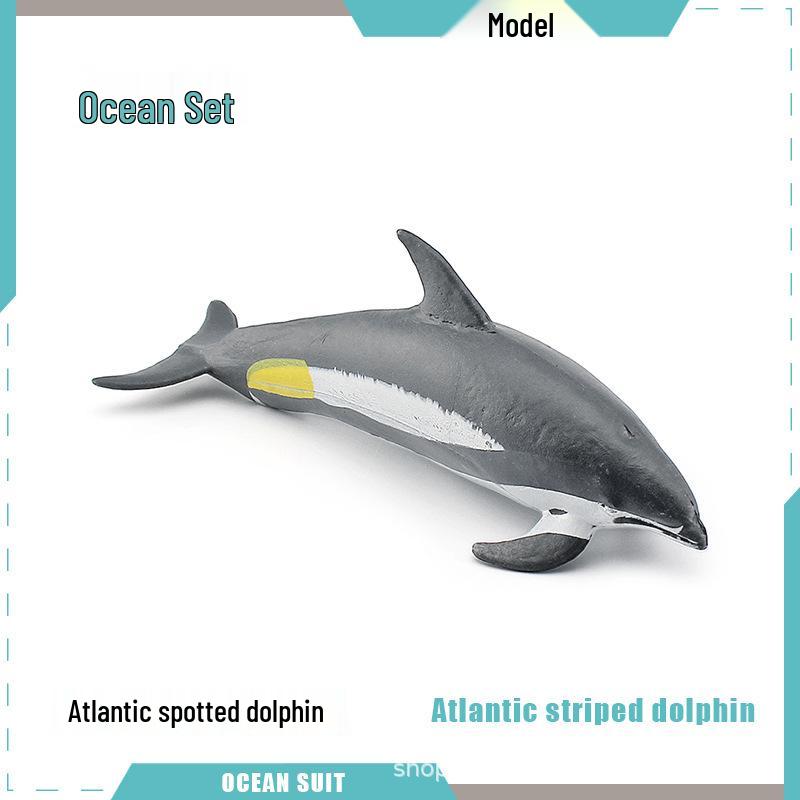 Children's Marine Animal Model Set: Mini Whale, Shark, Dolphin, Turtle, Sea Lion