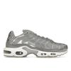 Кроссовки Air Max Plus Metallic Silver Unisex Grey-Fog FJ1012-095