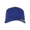 Flexfit Delta Plain Baseball Cap