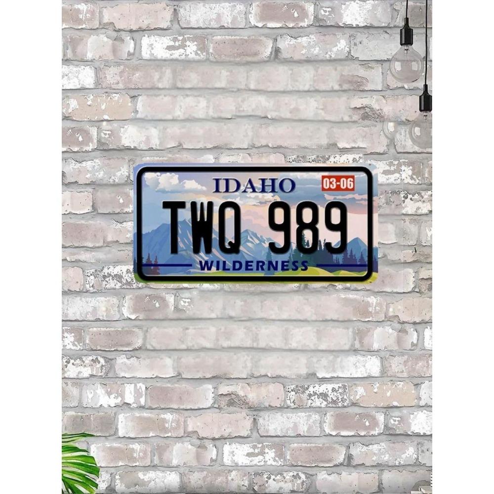 U.S. License Plate, U.S. Car License Plate, Metal, 15x30 Cm.