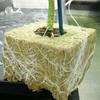 50 шт. Кубики для посадки из минеральной ваты, Кубики для выращивания растений из минерального волокна, Впитывающие, Дышащие губки для выращивания рассады, Гидропоника, Беспочвенное выращивание