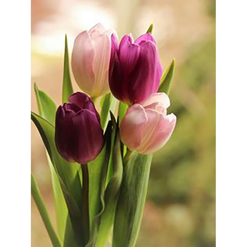 5D DIY Алмазная картина, полная круглая дрель, цветок, набор для вышивки крестом, мозаика, алмазная вышивка, роза, настенное искусство, украшение дома