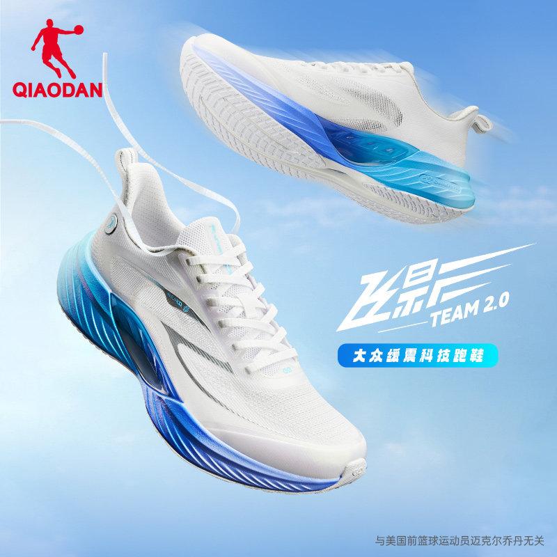 Jordan Flying Shadow Team 2 Shock Absorbed Running Shoes for Boys