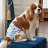 Cartoon Print Washable Dog Diapers Breathable Dog Sanitary Pants  Dogs in Heat