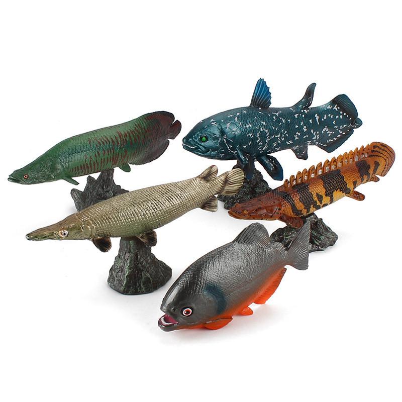 Piranha Marine Life Fish Model Pvc Educational Display With Base For Science Enthusiasts