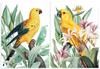 Set of Two Parrot Posters