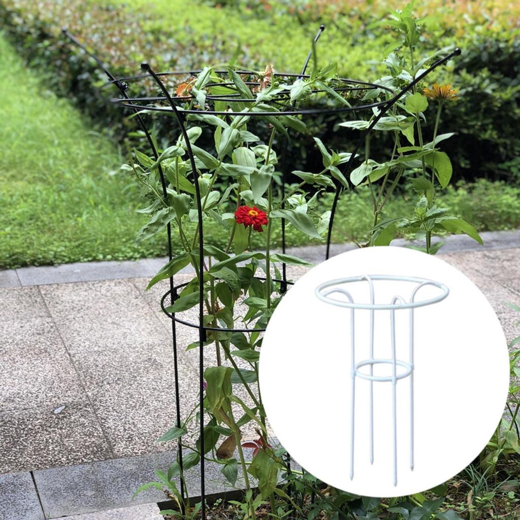 Садовый обелиск шпалера садоводство вьющаяся рама подставка для цветов инструменты вертикальный зонт для