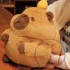 Nap Pillow Capybara Plush Doll Multi-Function Capybara Anime Fluffty Toy Capybara Hand Pillow  Kids