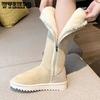 Длинные зимние ботинки большого размера на боковой молнии, женские зимние плюшевые утолщенные нескользящие теплые хлопковые туфли на высоком каблуке