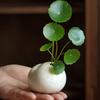 Creative Ceramic Flower Utensils Mini Hydroponic Vases Interior Centerpiece Desktop Plant Flowers Vase Decoration Beauty Zen Art Tea Pet Ornaments