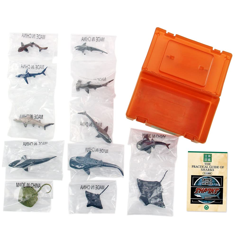 COLORATA 3D Illustrated Book Shark Friends Figures Types Instruction Manual and Stand Realistic Toy Birthday Gift Present Sanitation Law Real Figure