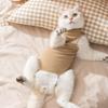 Костюм для стерилизации кошки, анти-домогательства, кошка-девочка, сокровище-девочка, послеоперационный свитер против вылизывания