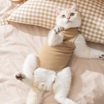 Костюм для стерилизации кошки, анти-домогательства, кошка-девочка, сокровище-девочка, послеоперационный свитер против вылизывания