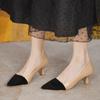 Fashion Quality Women's Pumps 2025 Spring Mix Color Female Shoes Shallow Slip-on Pumps Sexy Pointed High Heel Hot Sale Office Lady Shoes