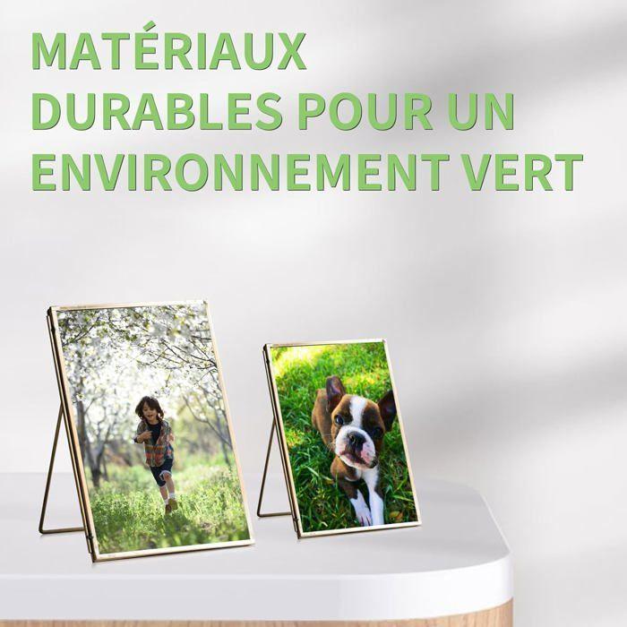 Cartouches d'Encre - 1GOLD - 405XL - Compatible Epson Workforce Pro - Multi-couleurs - 8 Modèles Compatibles