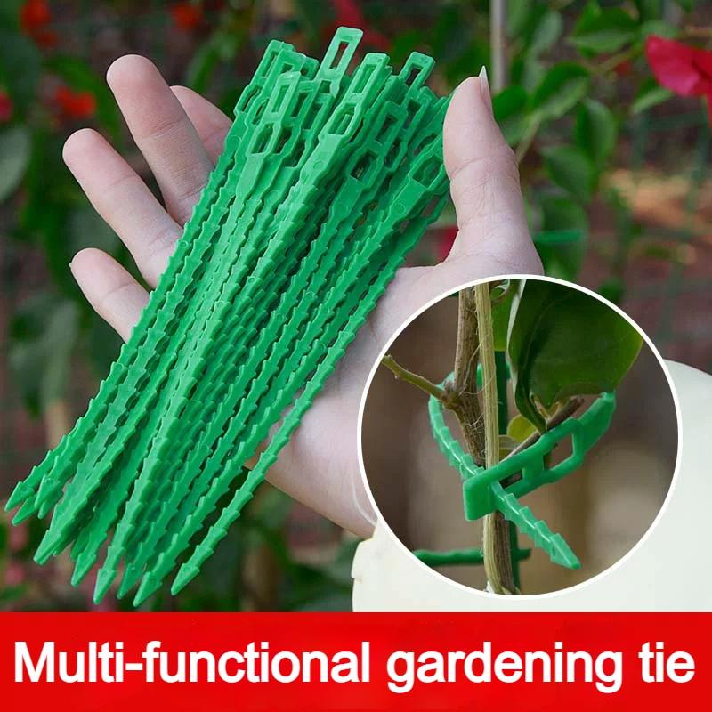 10-300Pcs Adjustable Plant Ties Reusable Self-Locking Wrap Strap For Garden Plant Vine Supports Garden Plant Fastening Tie