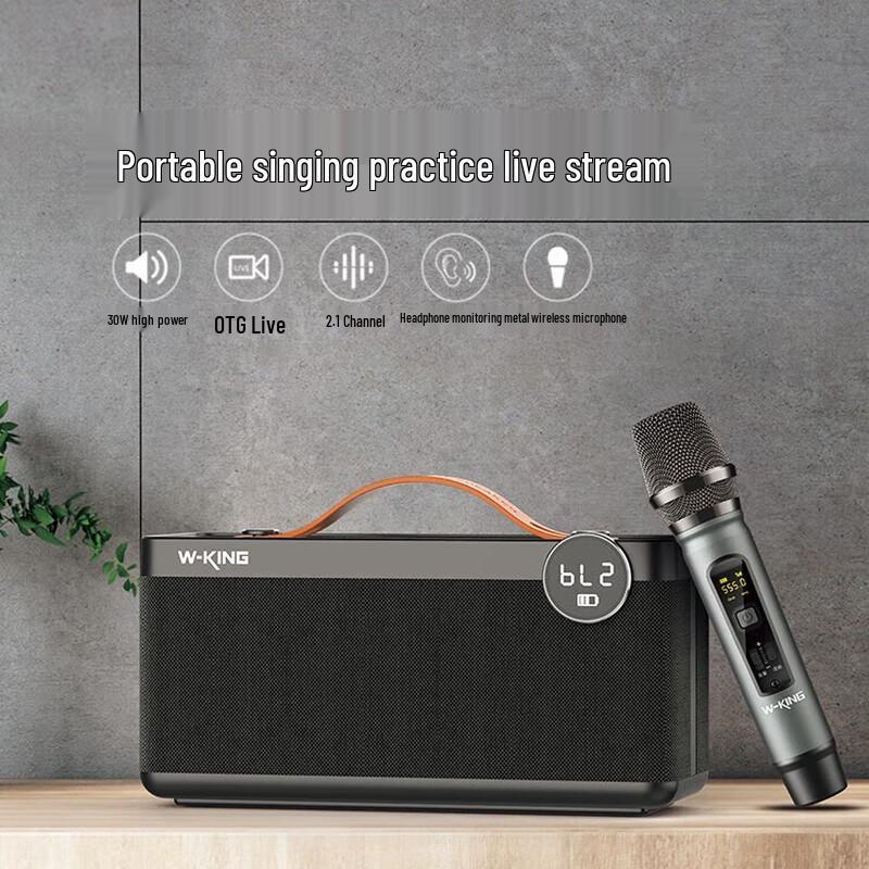 W-King H6 Portable Bluetooth KTV Speaker with Microphone