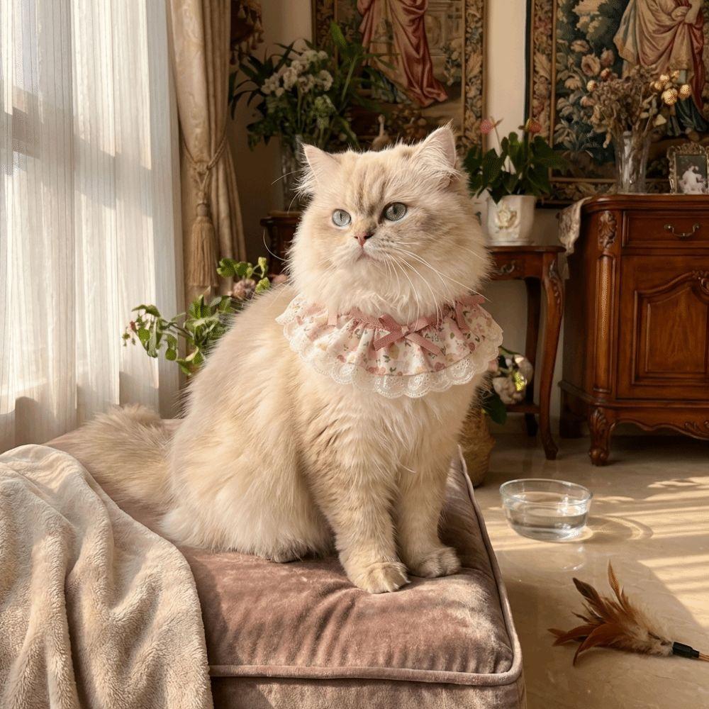Cartoon Knitted Collar Lace Floral Bows Pet Bib Cute Cat Clothes Cat Accessories