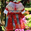 Pet Hanfu Chinese Characteristics Clothing Puppy Summer Thin Section Dog Clothes Ancient Style Pet Dog Dress Cat Apparel