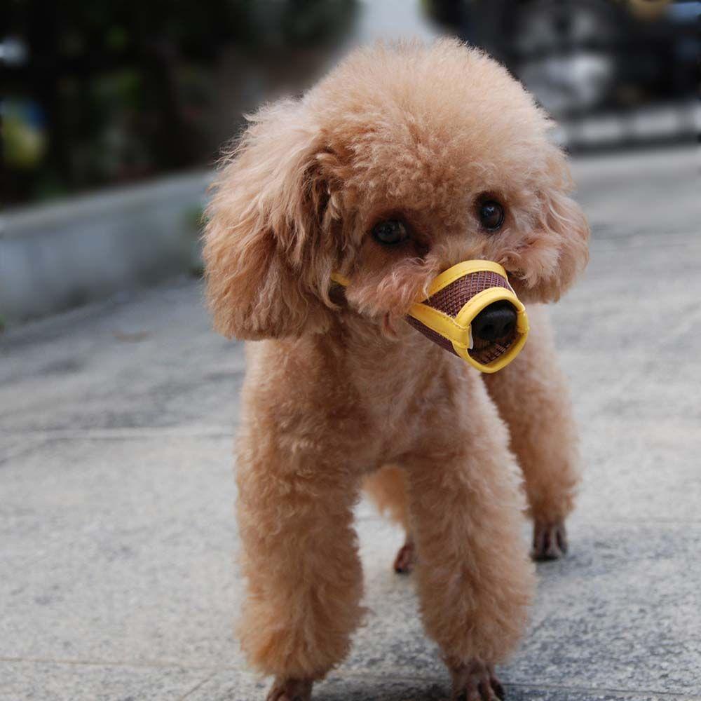 Safety Anti Bite Bark Chewing Adjustable Pet Product Mouth Grooming Mouth Muzzle Dog Muzzle