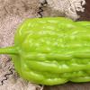 6Pcs Realistic Simulation Vegetable Models Artificial Vegetable Toy Kitchen Vegetable Decoration for Display Photography