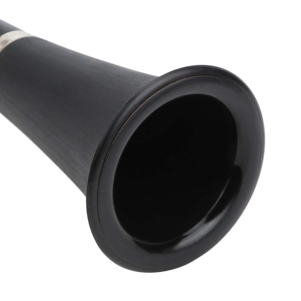 17-Key B-Flat Clarinet Set for Students, Professional B-Flat Clarinet, Includes BB Cleaning, Cross Reeds, and Driver Box (Black)