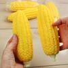 Кукурузная игрушка-пищалка Реалистичная поддельная игрушка-рельеф Кукуруза Антистресс Офисный стол Растягивающаяся TPR Кукуруза Фиджет