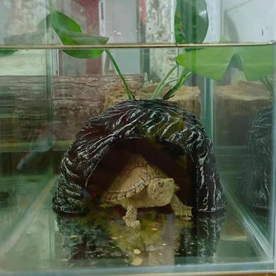 Рыбки и морские животные – Оформление аквариума